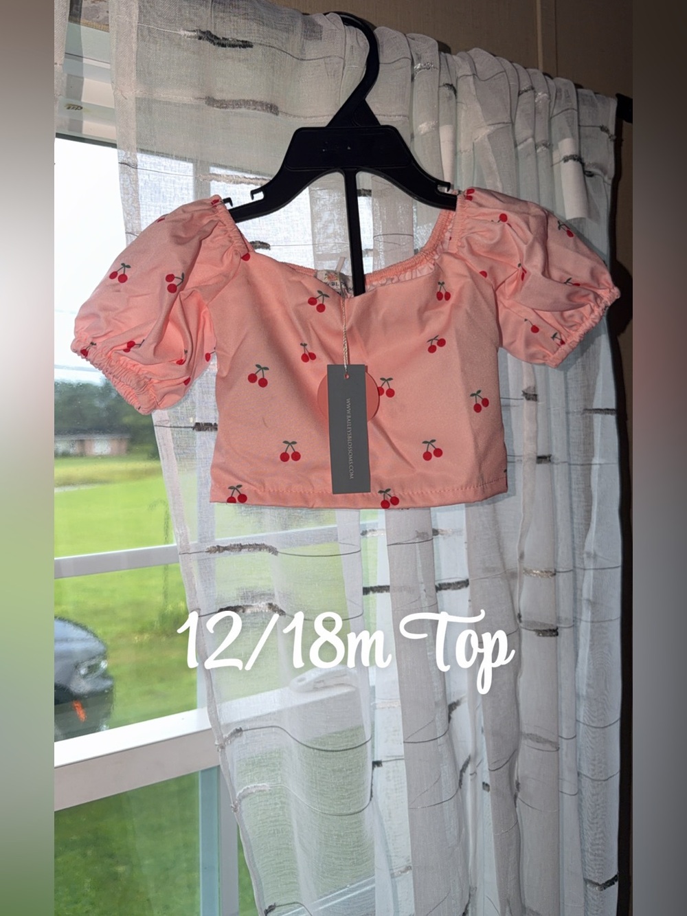 Pink Cherry Print Puff-Sleeve Crop Top - Baileys Blossoms
